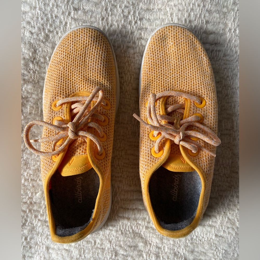 Allbird Tree Runners Sneakers